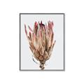 Picture of Dried Flower II _GroupedProduct_Rectangle_Portrait_Photography _GroupedProduct_Rectangle_Portrait_Canvas_Framed_