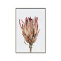 Picture of Dried Flower II _GroupedProduct_Rectangle_Portrait_Photography _GroupedProduct_Rectangle_Portrait_Canvas_Framed_