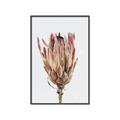 Picture of Dried Flower II _GroupedProduct_Rectangle_Portrait_Photography _GroupedProduct_Rectangle_Portrait_Canvas_Framed_