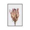 Picture of Dried Flower II _GroupedProduct_Rectangle_Portrait_Photography _GroupedProduct_Rectangle_Portrait_Canvas_Framed_