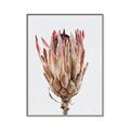 Picture of Dried Flower II _GroupedProduct_Rectangle_Portrait_Photography _GroupedProduct_Rectangle_Portrait_Canvas_Framed_