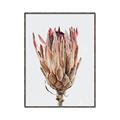 Picture of Dried Flower II _GroupedProduct_Rectangle_Portrait_Photography _GroupedProduct_Rectangle_Portrait_Canvas_Framed_