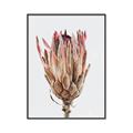 Picture of Dried Flower II _GroupedProduct_Rectangle_Portrait_Photography _GroupedProduct_Rectangle_Portrait_Canvas_Framed_