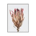 Picture of Dried Flower II _GroupedProduct_Rectangle_Portrait_Photography _GroupedProduct_Rectangle_Portrait_Canvas_Framed_