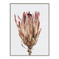 Picture of Dried Flower II _GroupedProduct_Rectangle_Portrait_Photography _GroupedProduct_Rectangle_Portrait_Canvas_Framed_