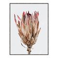 Picture of Dried Flower II _GroupedProduct_Rectangle_Portrait_Photography _GroupedProduct_Rectangle_Portrait_Canvas_Framed_