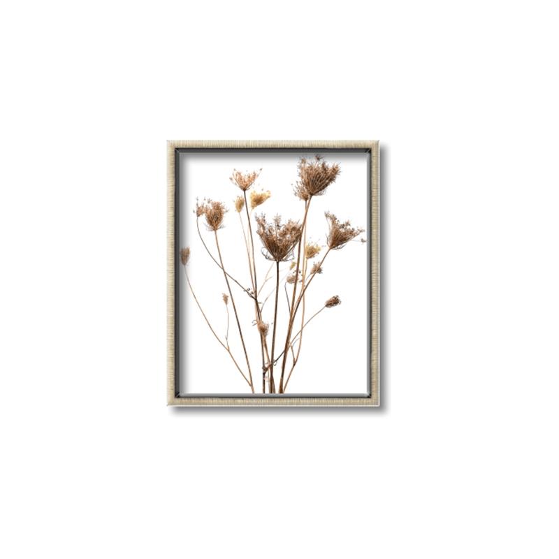 Picture of Dried Flower III  _GroupedProduct_Rectangle_Portrait_Photography _GroupedProduct_Rectangle_Portrait_Canvas_Framed_