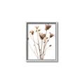Picture of Dried Flower III  _GroupedProduct_Rectangle_Portrait_Photography _GroupedProduct_Rectangle_Portrait_Canvas_Framed_