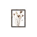 Picture of Dried Flower III  _GroupedProduct_Rectangle_Portrait_Photography _GroupedProduct_Rectangle_Portrait_Canvas_Framed_