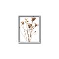 Picture of Dried Flower III  _GroupedProduct_Rectangle_Portrait_Photography _GroupedProduct_Rectangle_Portrait_Canvas_Framed_