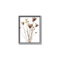 Picture of Dried Flower III  _GroupedProduct_Rectangle_Portrait_Photography _GroupedProduct_Rectangle_Portrait_Canvas_Framed_
