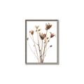 Picture of Dried Flower III  _GroupedProduct_Rectangle_Portrait_Photography _GroupedProduct_Rectangle_Portrait_Canvas_Framed_