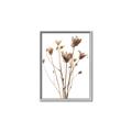 Picture of Dried Flower III  _GroupedProduct_Rectangle_Portrait_Photography _GroupedProduct_Rectangle_Portrait_Canvas_Framed_