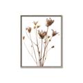 Picture of Dried Flower III  _GroupedProduct_Rectangle_Portrait_Photography _GroupedProduct_Rectangle_Portrait_Canvas_Framed_