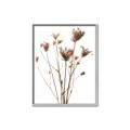 Picture of Dried Flower III  _GroupedProduct_Rectangle_Portrait_Photography _GroupedProduct_Rectangle_Portrait_Canvas_Framed_