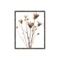 Picture of Dried Flower III  _GroupedProduct_Rectangle_Portrait_Photography _GroupedProduct_Rectangle_Portrait_Canvas_Framed_
