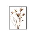 Picture of Dried Flower III  _GroupedProduct_Rectangle_Portrait_Photography _GroupedProduct_Rectangle_Portrait_Canvas_Framed_