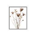 Picture of Dried Flower III  _GroupedProduct_Rectangle_Portrait_Photography _GroupedProduct_Rectangle_Portrait_Canvas_Framed_