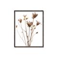 Picture of Dried Flower III  _GroupedProduct_Rectangle_Portrait_Photography _GroupedProduct_Rectangle_Portrait_Canvas_Framed_