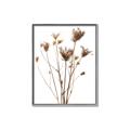 Picture of Dried Flower III  _GroupedProduct_Rectangle_Portrait_Photography _GroupedProduct_Rectangle_Portrait_Canvas_Framed_