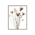 Picture of Dried Flower III  _GroupedProduct_Rectangle_Portrait_Photography _GroupedProduct_Rectangle_Portrait_Canvas_Framed_