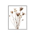 Picture of Dried Flower III  _GroupedProduct_Rectangle_Portrait_Photography _GroupedProduct_Rectangle_Portrait_Canvas_Framed_