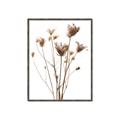 Picture of Dried Flower III  _GroupedProduct_Rectangle_Portrait_Photography _GroupedProduct_Rectangle_Portrait_Canvas_Framed_