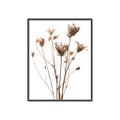 Picture of Dried Flower III  _GroupedProduct_Rectangle_Portrait_Photography _GroupedProduct_Rectangle_Portrait_Canvas_Framed_