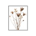 Picture of Dried Flower III  _GroupedProduct_Rectangle_Portrait_Photography _GroupedProduct_Rectangle_Portrait_Canvas_Framed_