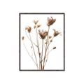 Picture of Dried Flower III  _GroupedProduct_Rectangle_Portrait_Photography _GroupedProduct_Rectangle_Portrait_Canvas_Framed_