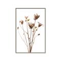 Picture of Dried Flower III  _GroupedProduct_Rectangle_Portrait_Photography _GroupedProduct_Rectangle_Portrait_Canvas_Framed_