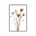 Picture of Dried Flower III  _GroupedProduct_Rectangle_Portrait_Photography _GroupedProduct_Rectangle_Portrait_Canvas_Framed_