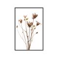 Picture of Dried Flower III  _GroupedProduct_Rectangle_Portrait_Photography _GroupedProduct_Rectangle_Portrait_Canvas_Framed_