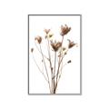 Picture of Dried Flower III  _GroupedProduct_Rectangle_Portrait_Photography _GroupedProduct_Rectangle_Portrait_Canvas_Framed_