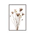 Picture of Dried Flower III  _GroupedProduct_Rectangle_Portrait_Photography _GroupedProduct_Rectangle_Portrait_Canvas_Framed_