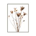 Picture of Dried Flower III  _GroupedProduct_Rectangle_Portrait_Photography _GroupedProduct_Rectangle_Portrait_Canvas_Framed_