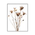 Picture of Dried Flower III  _GroupedProduct_Rectangle_Portrait_Photography _GroupedProduct_Rectangle_Portrait_Canvas_Framed_