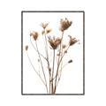 Picture of Dried Flower III  _GroupedProduct_Rectangle_Portrait_Photography _GroupedProduct_Rectangle_Portrait_Canvas_Framed_