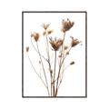 Picture of Dried Flower III  _GroupedProduct_Rectangle_Portrait_Photography _GroupedProduct_Rectangle_Portrait_Canvas_Framed_