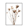 Picture of Dried Flower III  _GroupedProduct_Rectangle_Portrait_Photography _GroupedProduct_Rectangle_Portrait_Canvas_Framed_