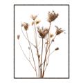 Picture of Dried Flower III  _GroupedProduct_Rectangle_Portrait_Photography _GroupedProduct_Rectangle_Portrait_Canvas_Framed_