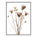 Picture of Dried Flower III  _GroupedProduct_Rectangle_Portrait_Photography _GroupedProduct_Rectangle_Portrait_Canvas_Framed_