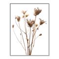 Picture of Dried Flower III  _GroupedProduct_Rectangle_Portrait_Photography _GroupedProduct_Rectangle_Portrait_Canvas_Framed_