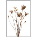Picture of Dried Flower III  _GroupedProduct_Rectangle_Portrait_Photography _GroupedProduct_Rectangle_Portrait_Canvas_Framed_