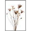 Picture of Dried Flower III  _GroupedProduct_Rectangle_Portrait_Photography _GroupedProduct_Rectangle_Portrait_Canvas_Framed_