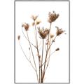 Picture of Dried Flower III  _GroupedProduct_Rectangle_Portrait_Photography _GroupedProduct_Rectangle_Portrait_Canvas_Framed_