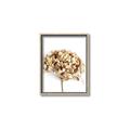 Picture of Dried Hydrangea _GroupedProduct_Rectangle_Portrait_Photography _GroupedProduct_Rectangle_Portrait_Canvas_Framed_