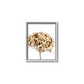 Picture of Dried Hydrangea _GroupedProduct_Rectangle_Portrait_Photography _GroupedProduct_Rectangle_Portrait_Canvas_Framed_