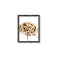 Picture of Dried Hydrangea _GroupedProduct_Rectangle_Portrait_Photography _GroupedProduct_Rectangle_Portrait_Canvas_Framed_