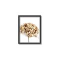 Picture of Dried Hydrangea _GroupedProduct_Rectangle_Portrait_Photography _GroupedProduct_Rectangle_Portrait_Canvas_Framed_